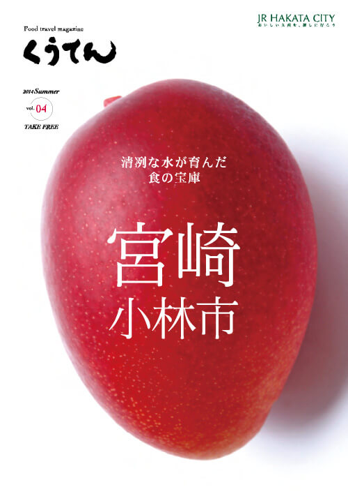 宫崎县小林市区域