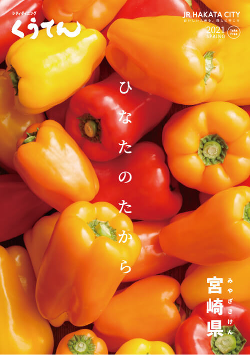 宫崎县区域